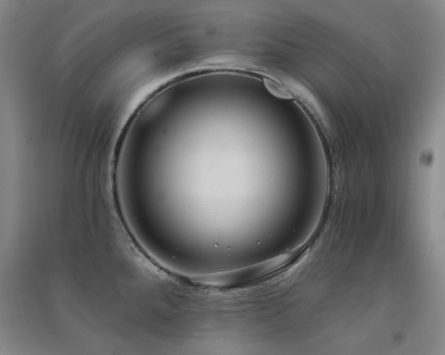 X0000091511288200708171148