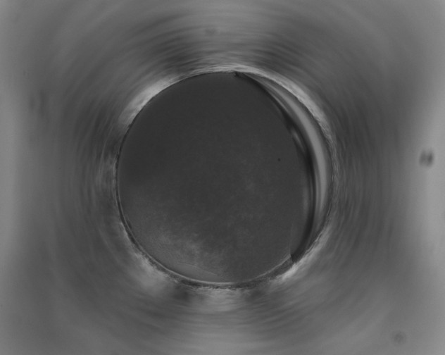X0000091511289200708171148