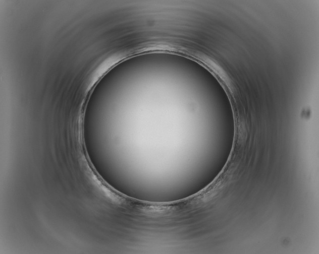 X0000091511290200708171148