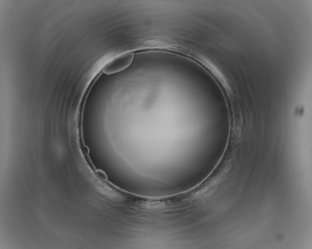 X0000091511291200708171148