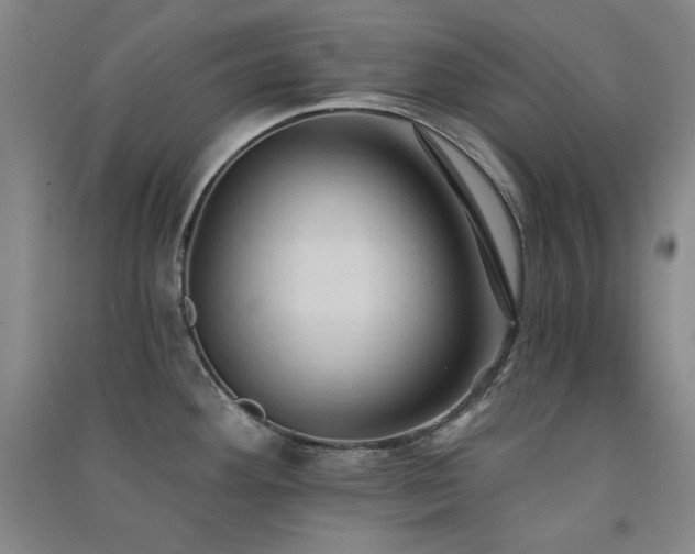 X0000091511292200708171148