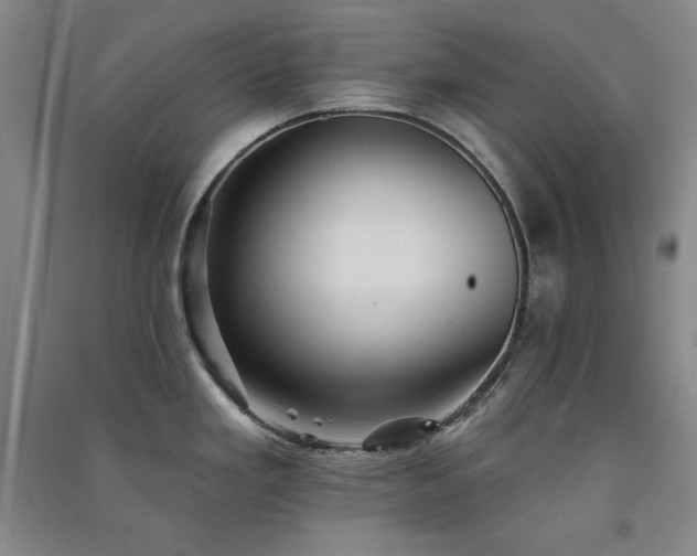 X0000091511293200708171148