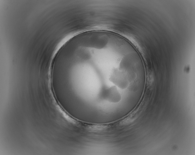 X0000091511294200708171148