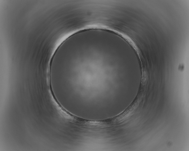X0000091511295200708171148