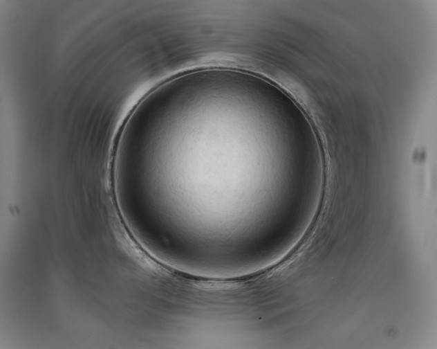X0000091511296200708171148