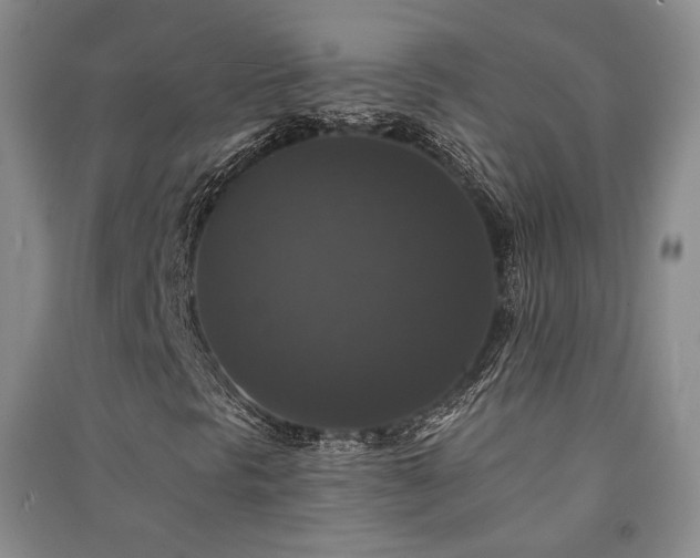 X0000091511297200708171147