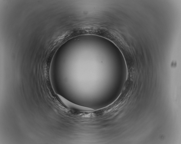 X0000091511298200708171147