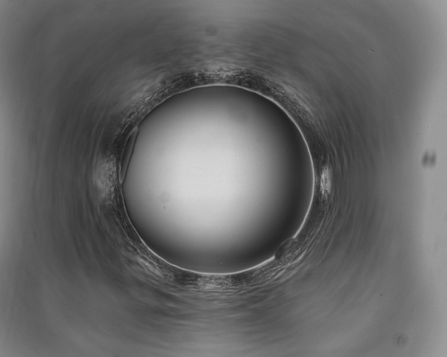 X0000091511299200708171147
