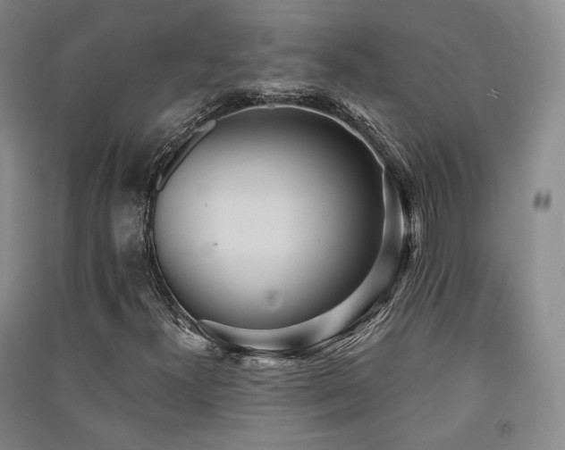 X0000091511300200708171147
