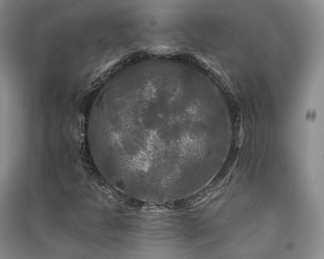 X0000091511301200708171147