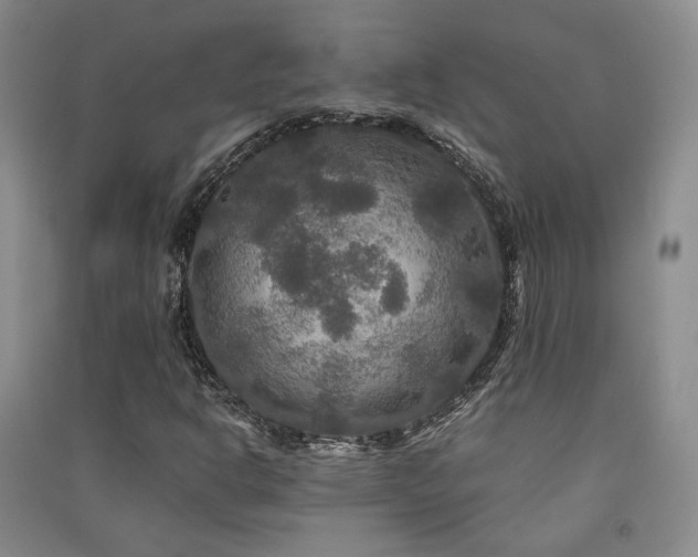 X0000091511302200708171147