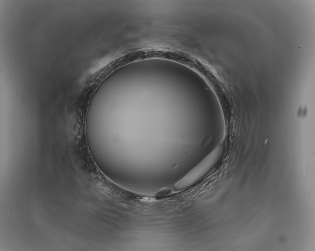 X0000091511303200708171147