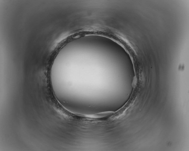 X0000091511304200708171147