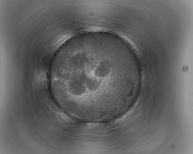 X0000091511305200708171147
