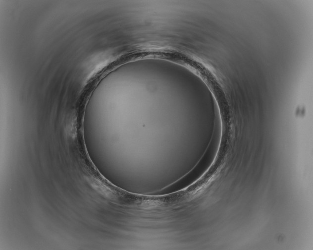 X0000091511306200708171147