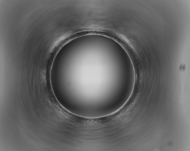 X0000091511307200708171147