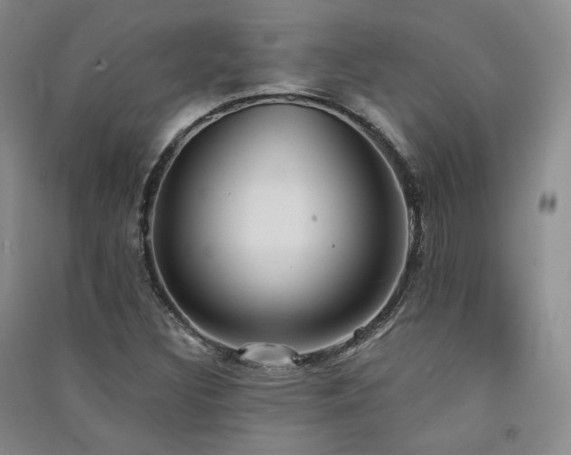 X0000091511308200708171147