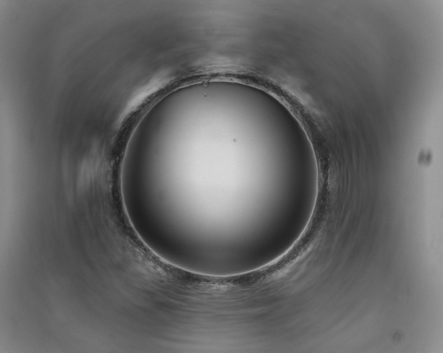 X0000091511309200708171148