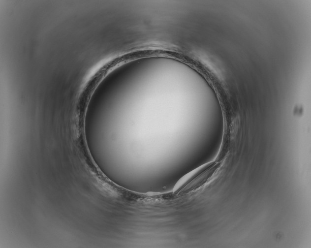 X0000091511310200708171148