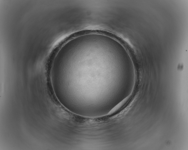 X0000091511311200708171148