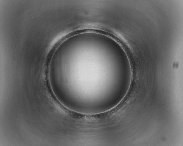 X0000091511312200708171148