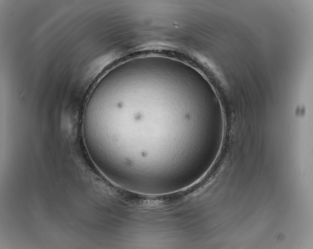 X0000091511313200708171148