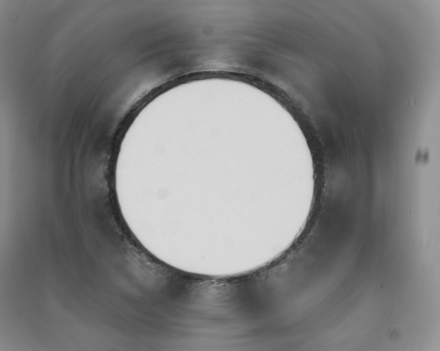X0000091511314200708171148