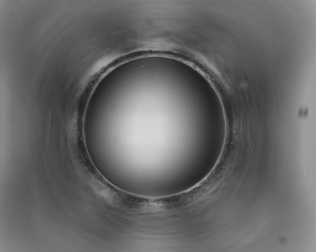 X0000091511315200708171148