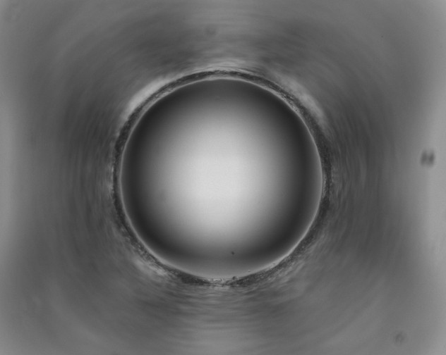 X0000091511316200708171148