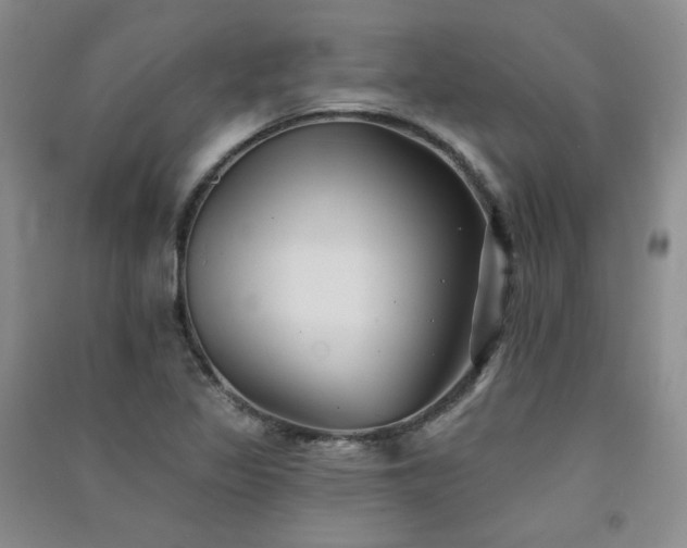 X0000091511317200708171148