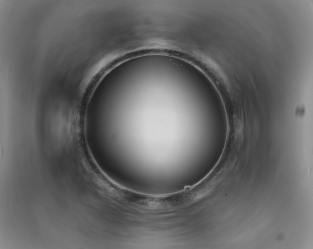 X0000091511318200708171148