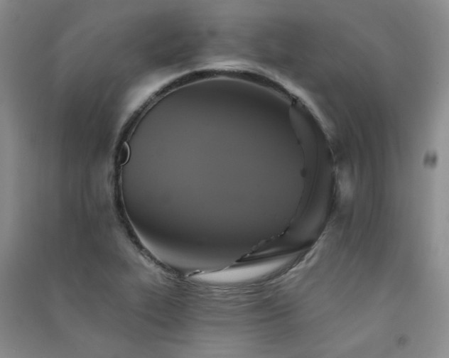 X0000091511319200708171148