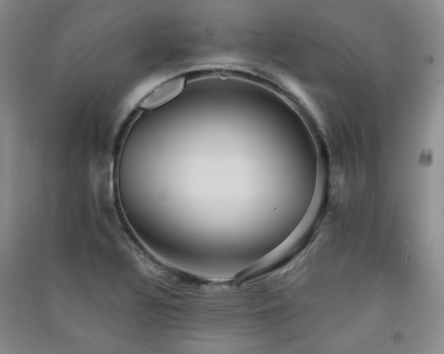 X0000091511320200708171148