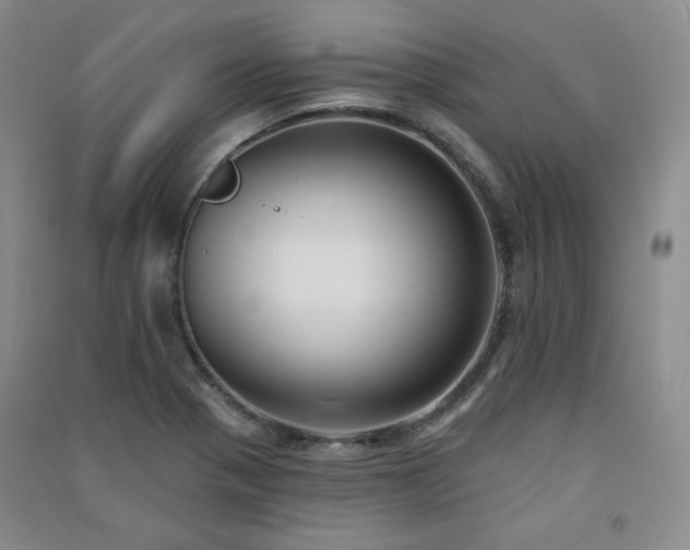 X0000091511321200708171148