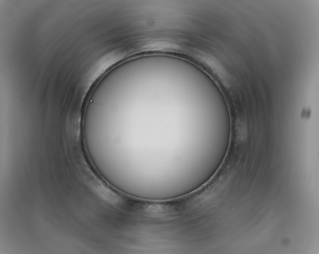 X0000091511322200708171148