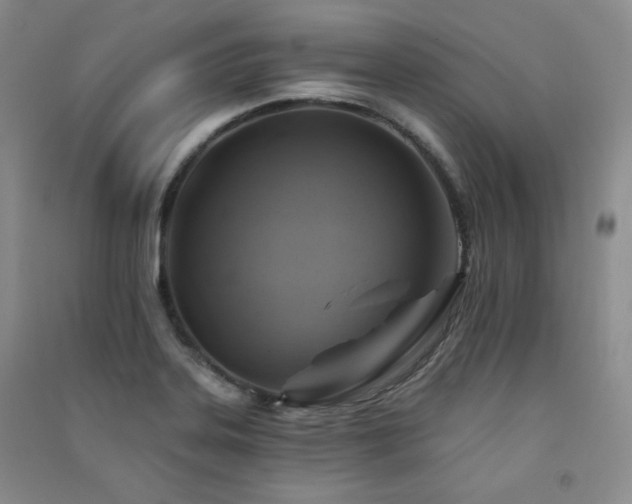 X0000091511323200708171148