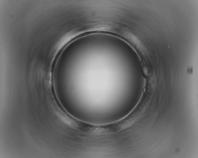 X0000091511324200708171148