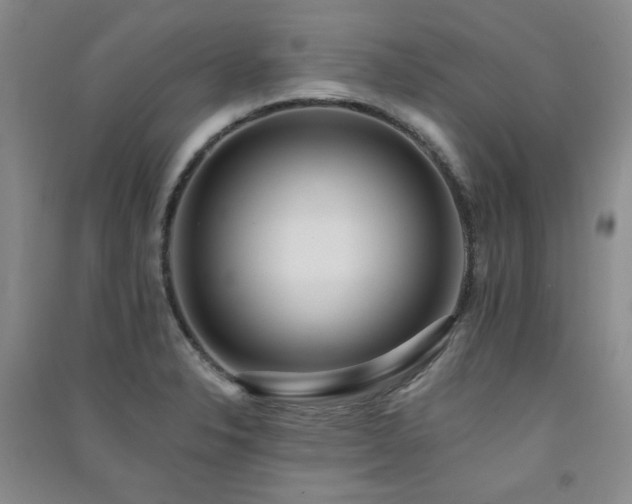 X0000091511326200708171148