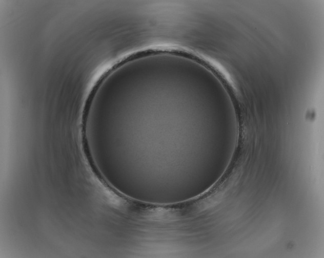 X0000091511327200708171148