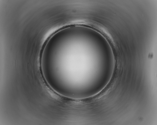 X0000091511328200708171148