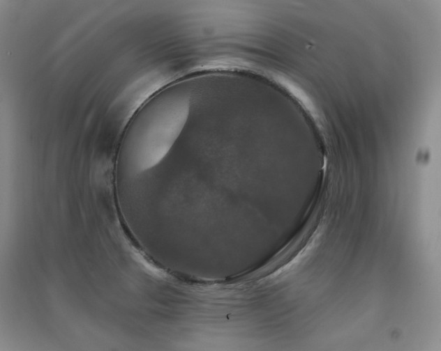 X0000091511329200708171148