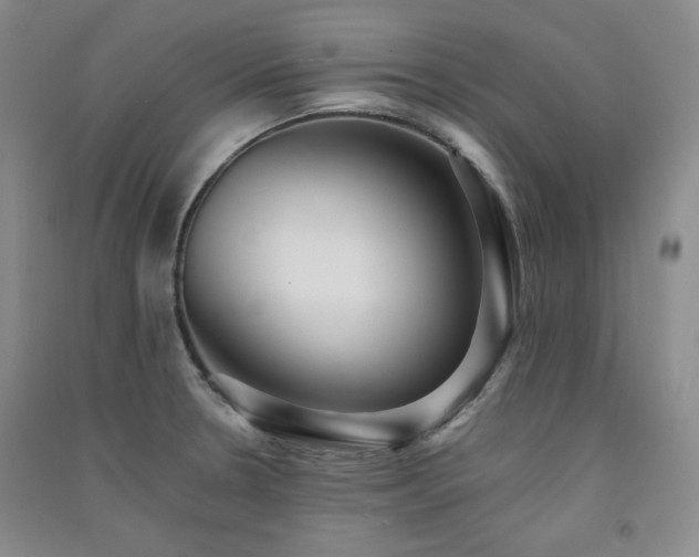 X0000091511330200708171148