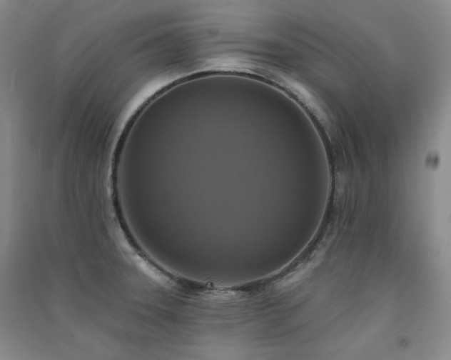 X0000091511331200708171148