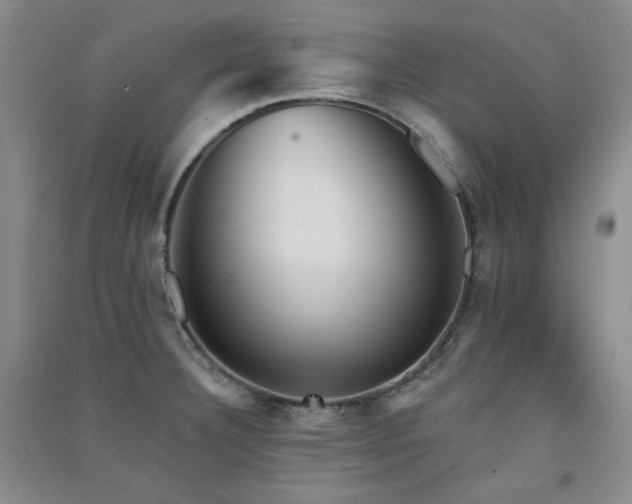 X0000091511332200708171148