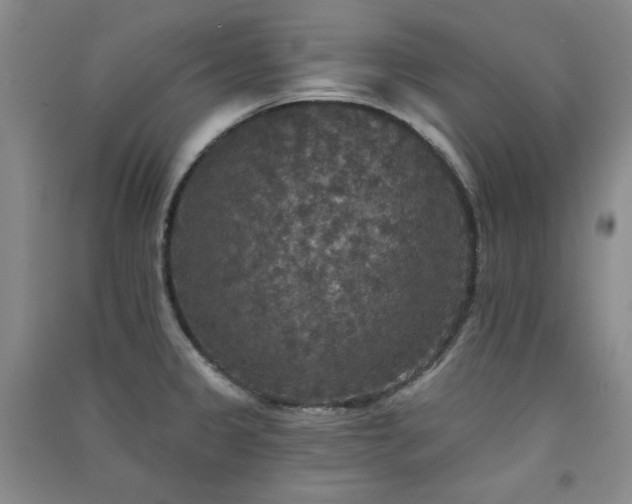 X0000091511333200708171148
