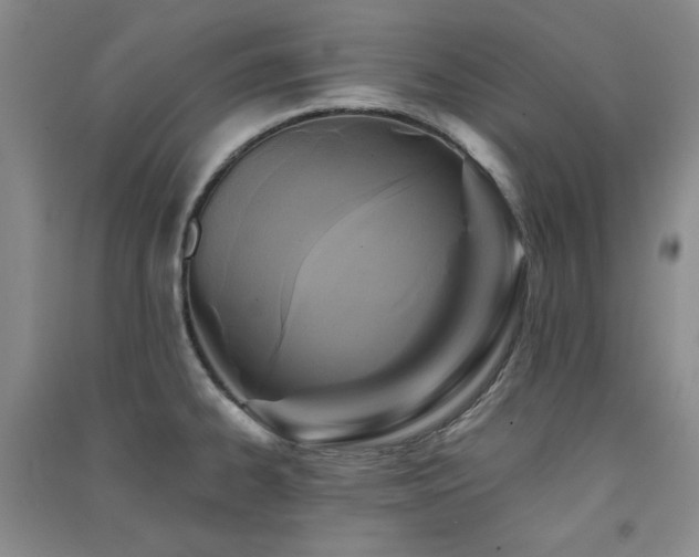 X0000091511334200708171148