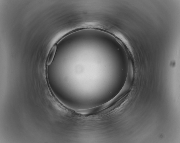 X0000091511336200708171148