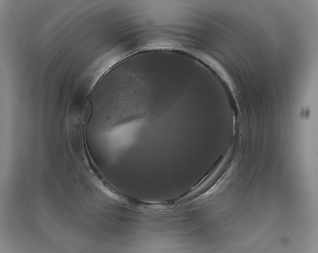 X0000091511337200708171148