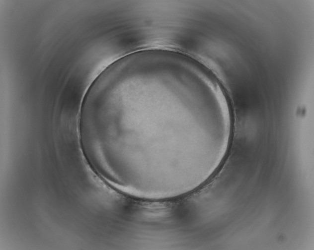 X0000091511338200708171148