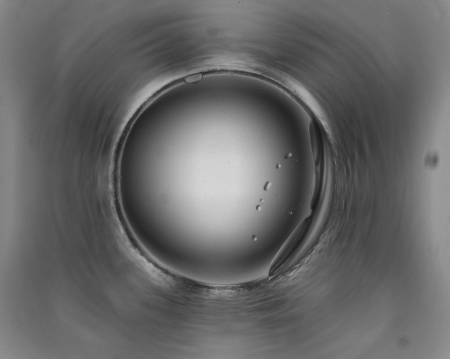 X0000091511339200708171148